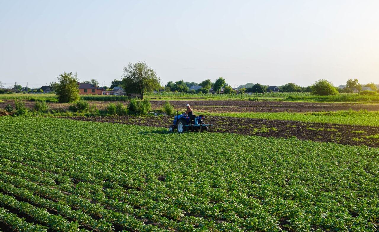 Agriculture & Farming